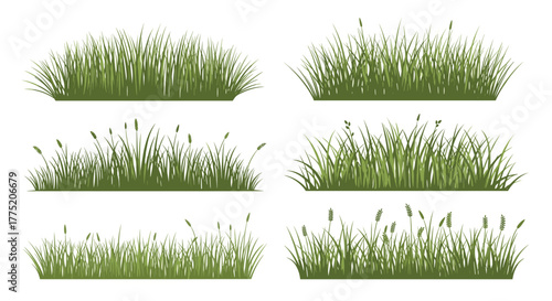 Collection of six distinct illustrations of green grass clumps, showcasing varied heights and textures.
