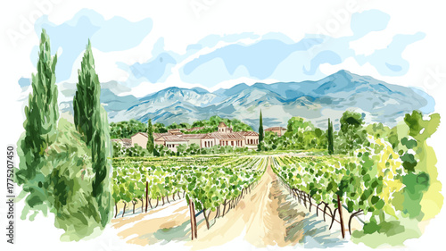 Mendoza Wine Region. Mendoza Wine Region hand drawn watercolor illustration