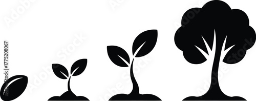 Plant growth stages silhouette isolated on white background