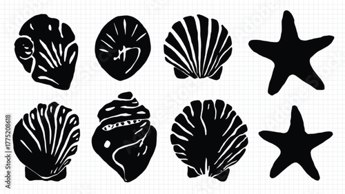 Black silhouettes of seashells and starfish on grid background Keywords: seashell, starfish