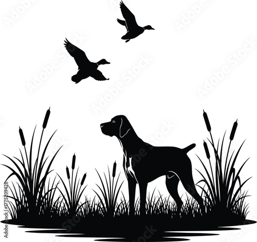 A silhouette of a dog standing in tall grass with two ducks flying overhead, evoking a hunting scene or wildlife observation isolated on white background