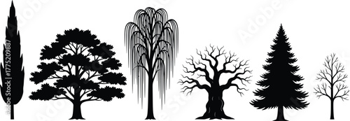 Tree silhouette collection, cypress, oak, willow, winter tree, pine, deciduous, forest elements, nature shapes, botanical design, landscape art