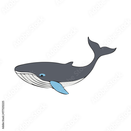 Illustration of a gray whale with a blue fin and tail on a white background.