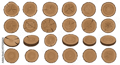 Collection of various wood cross-sections with visible growth rings and bark textures.