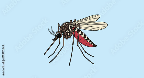 An illustration of a mosquito with detailed markings on its body and wings against a light blue background.