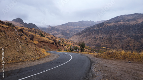 Фотография Winding mountain road through autumn hills under a cloudy sky, showing a quiet r