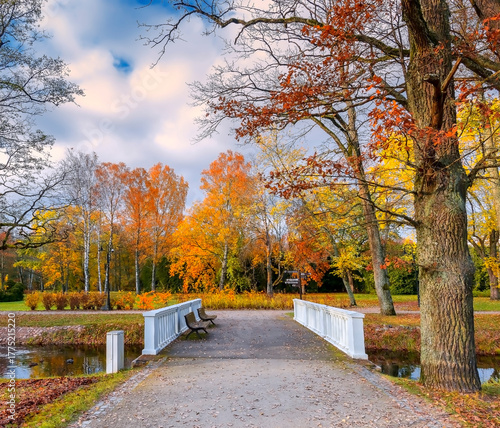 Late autumn in old public park, walking pedestrian bridge and footpaths alley...
