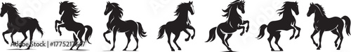 Silhouette of galloping horses in motion sequence showing energy grace and strength of wild stallions in dynamic running poses Concept of freedom power nature and movement