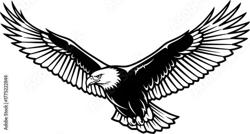 eagle drawing line art for children's colouring books transparent background