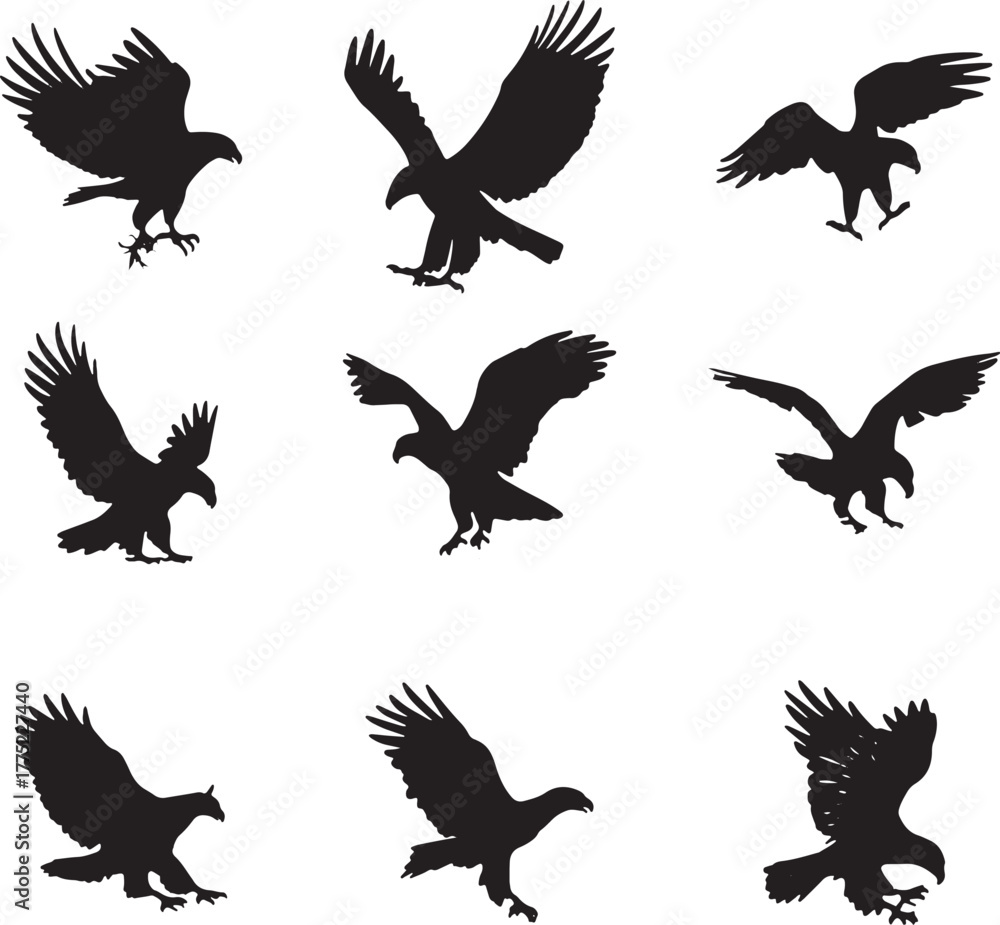 Fototapeta premium Collection of Eagle Silhouettes in Flight and Landing Poses