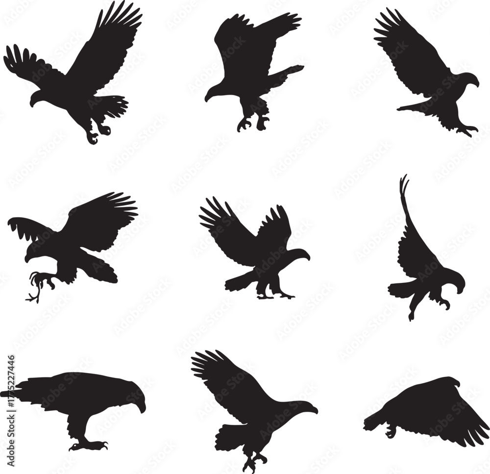 Obraz premium Collection of Eagle Silhouettes in Flight Keywords: eagle, bird, silhouette, flying, wings