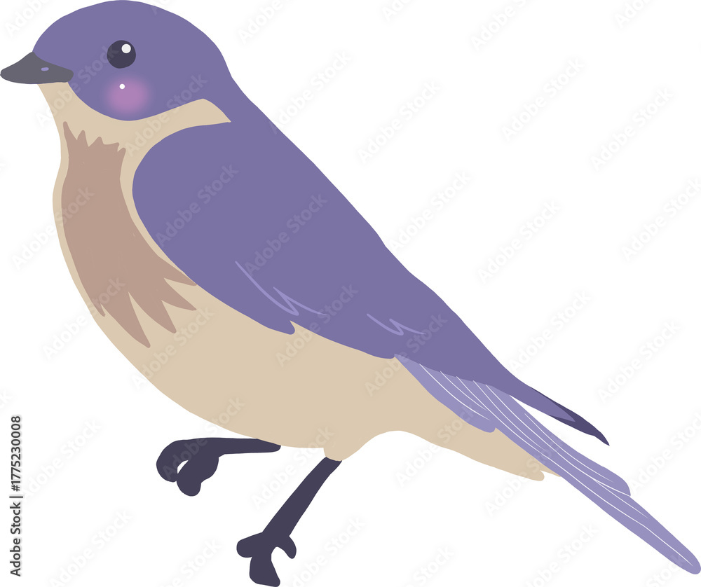 Obraz premium 파랑새