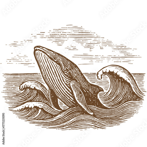 Vintage-style monochrome illustration of a whale breaching the ocean surface, surrounded by stylized waves and horizon lines. The engraving-inspired artwork captures dynamic marine motion in a classic
