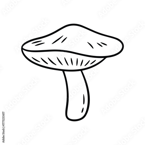 Mushroom outline coloring book page vector and illustration line art
