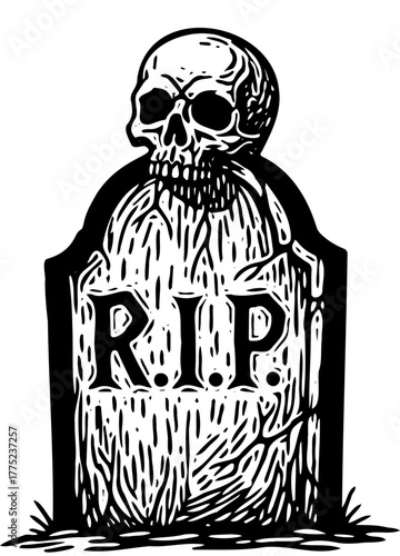 skull and crossbones on blackboard vector