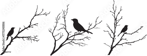 Silhouette of Tree Branch Turning into Flying Birds Set vector