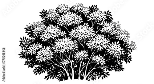 Flowering tree with transparent background