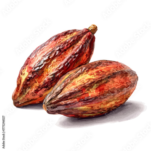 Stylized watercolor Cacao vector, modern artistic illustration with high-quality details on a pure white background.