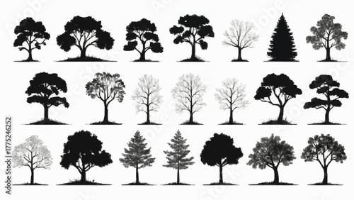 Collection of trees vector