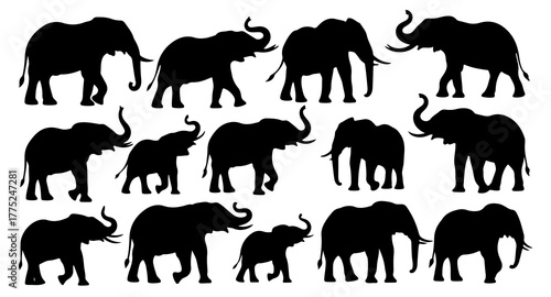 Elephant Silhouettes Collection Animal Outline Set
