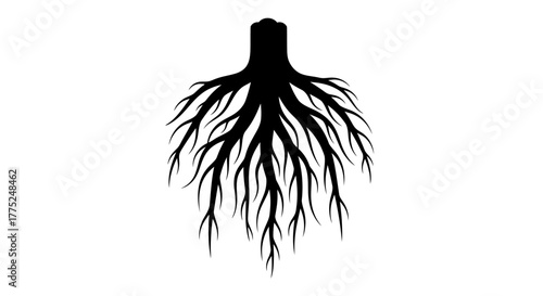 A stark black silhouette of plant roots against a white background