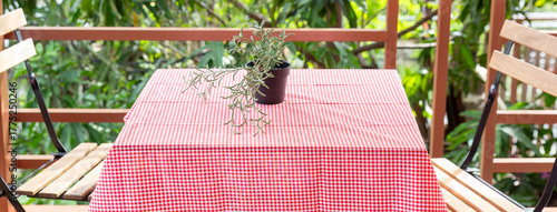Red Gingham Tablecloth on Garden Table, Outdoor Dining Setup