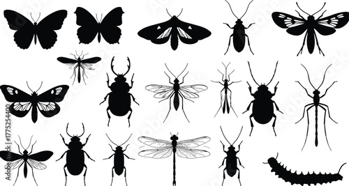 Insect silhouettes, black insect icons, entomology vector, bug shapes, flying insects, beetles, butterflies, moths, dragonflies, flies, caterpillar, arthropods, biology illustration, insect anatomy,