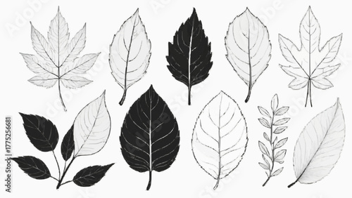 Vector set of autumn leaves in yellow, orange, and green colors, perfect for fall nature and season design patterns or as isolated plant objects
