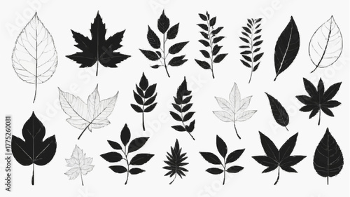 A seamless floral pattern of set of leaves silhouettes vector provides an excellent texture for an autumn wallpaper design element