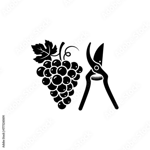 Grape Harvest Icon | Vineyard Scissors Symbol | Agriculture Fruit Picking Vector Illustration