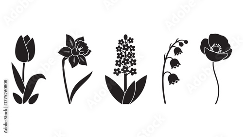 Floral arrangement featuring various blooms in elegant black silhouette on transparent background