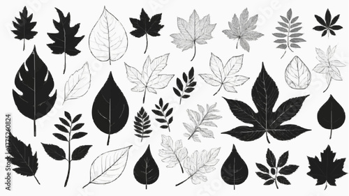 Seamless vector pattern of autumn leaves set for nature floral design and wallpaper illustration