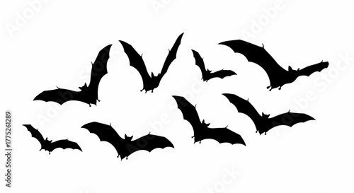 A Flock of Silhouette Bats Flying Across a White Background Depicting Nocturnal Wildlife in Flight