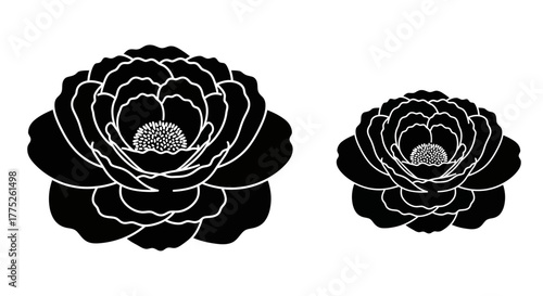 A simple black and white illustration of a laboratory microscope device