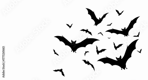 A Large Flock of Bats Silhouetted Against a White Background Flying in a Swirling Pattern Towards the Right Side of the Frame Creating an Eerie Atmosphere