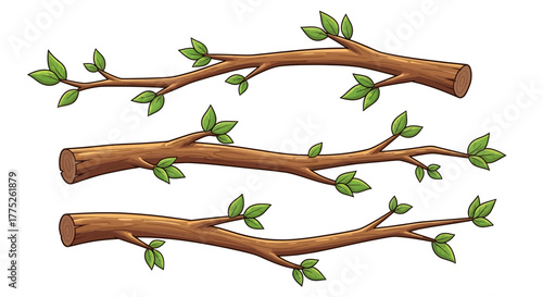 tree branches isolated on white