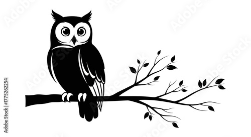 owl sitting on a branch