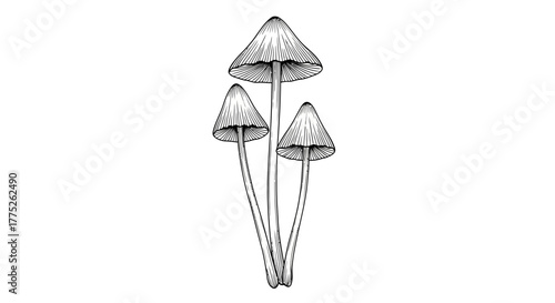 fishing tackle isolated on white