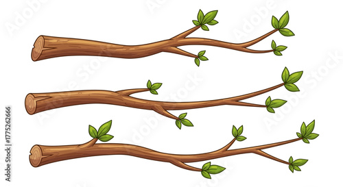branch of a tree with leaves