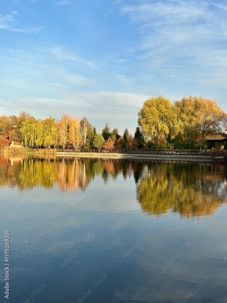 Fototapeta premium autumn trees reflected in water