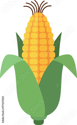 Fresh corn cob with green leaves healthy food illustration