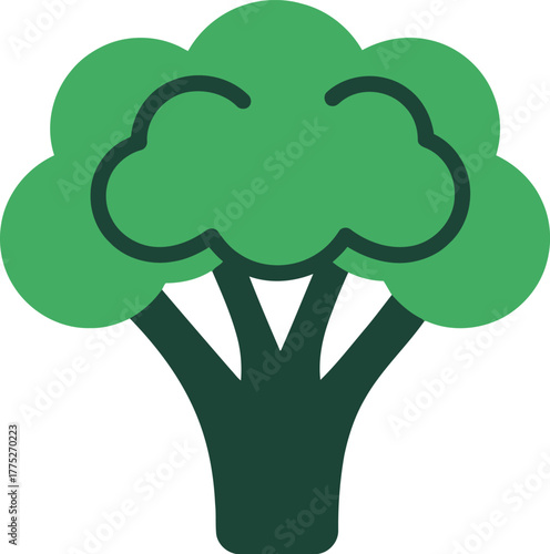 Fresh broccoli icon healthy food vector graphic