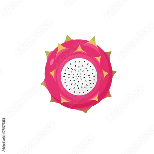 Dragon Fruit Illustration