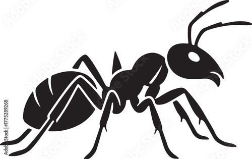 Black Ant Silhouette Icon  Insect Vector Graphic and Logo