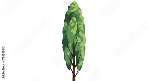A minimalist digital illustration of a tall, narrow tree with lush green leaves and a sturdy brown trunk, set against a pristine white backdrop.