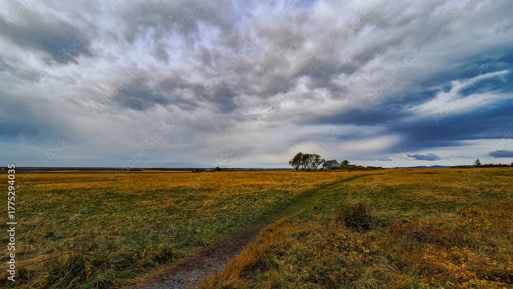 Fototapeta premium Landschaft