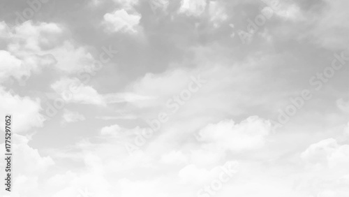 The sky covered with rain clouds.. 