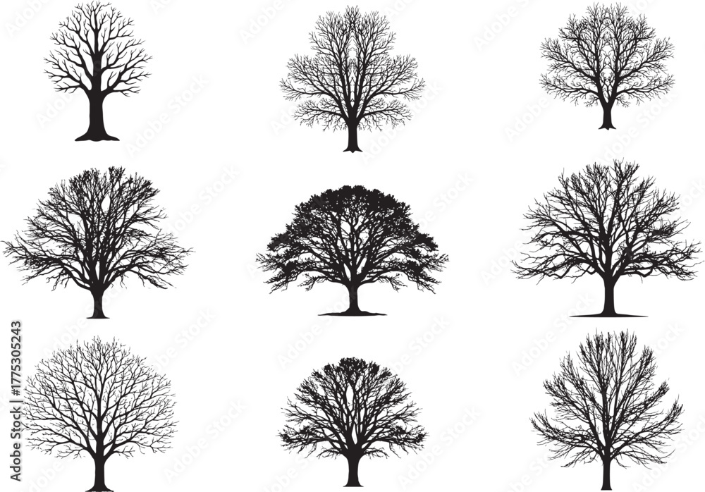 Obraz premium Collection of Silhouetted Deciduous Trees with Varied Branch Structures and Leaf Patterns 
