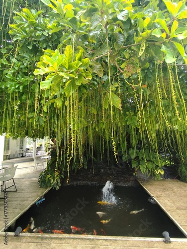 The garden corner is decorated with vines.