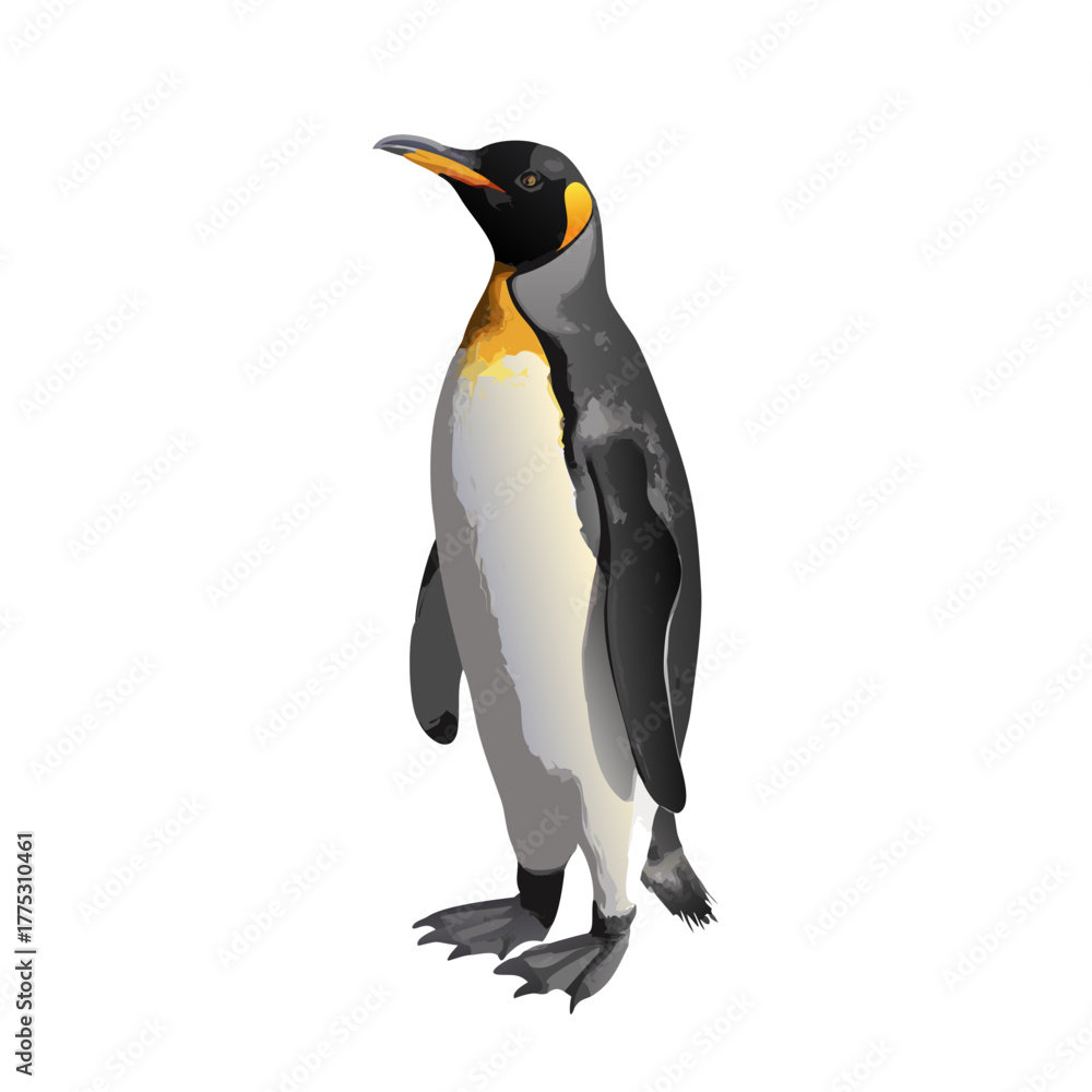 Fototapeta premium Majestic King Penguin Standing Upright. Realistic Antarctic Bird Vector Illustration